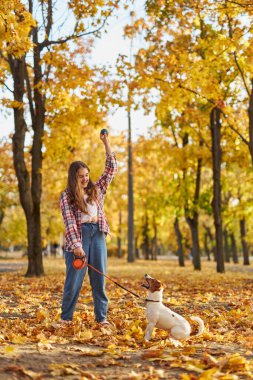 Neşeli küçük kız, güzel sonbahar ormanlarında komik Jack Russell Terrier 'iyle oynuyor, çocuk doğada yürürken köpekle oynuyor ve eğleniyor. Çocuklar ve hayvanlar dışarıda.