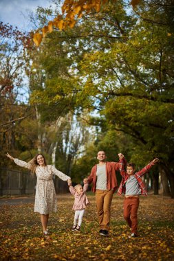 Mutlu bir aile, sonbaharda Park 'ta yapraklarla kaplı yeşil çimlerde yürüyor. Ebeveynler, iki çocuk gün batımında el ele tutuşarak parkta yürüyorlar. Aile, çocuk, Autumn Park 'ta yürüyün..