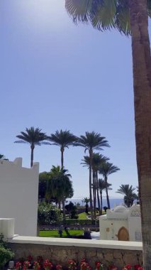 Sharm el Sheikh, Sina, Mısır 'da Kızıldeniz kıyısında palmiye ağaçları olan güneşli bir tatil köyü. Denize giden yol. Seyahat ve tatil kavramı