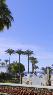 Mısır 'da lüks bir tatil beldesinde el sallayan bir kadın harika bir tatile veda ediyor. Veda etme zamanı. Sonra görüşürüz, güle güle tatil.