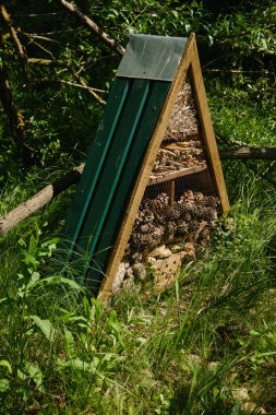 Doğal malzemelerle dolu, kırsal, üçgen bir böcek oteli, güneşli bir ormanın içinde, uzun yeşil çimenlere kurulmuştur. Doğa, ekoloji ve vahşi yaşamı koruma kavramı