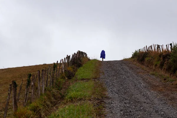 Pilgrimsvandring Landsvägen Tidigt Morgonen Chemin Puy Fransk Rutt Vägen Till — Stockfoto