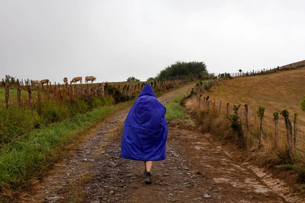 Pilgrimsvandring Landsvägen Rainy Dag Chemin Puy Fransk Rutt Vägen James — Stockfoto