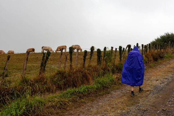 Pellegrino Piedi Sulla Strada Campagna Rainy Giorno Durante Chemin Puy — Foto Stock