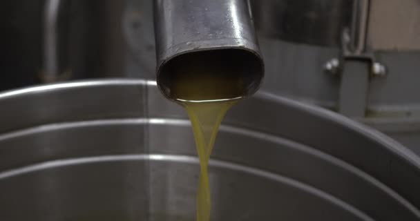 Green Olive Oil Komt Uit Eindpijp Molen Industrie Extractie Machine Rechtenvrije Stockvideo