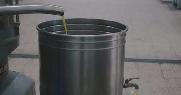 Green Olive Oil Coming Out Final Pipe Mill Industry Extraction — Stock Video