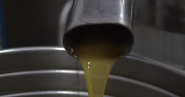 Zelený Olivový Olej Vycházející Finální Trubky Mlýnském Průmyslu Extrakční Stroj — Stock video