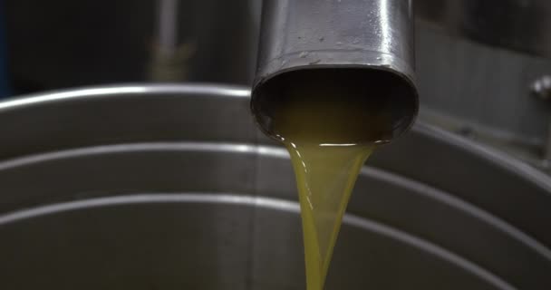 Green Olive Oil Coming Out Final Pipe Mill Industry Extraction — Stock Video