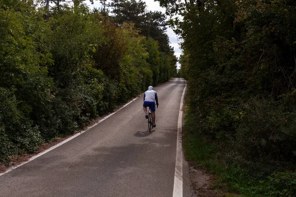 トレーニングアウトドアの概念スポーツウェアの木や緑の茂みの間の舗装された道路で強い男性サイクリストの自転車に乗るのバックビュー バソヴィザトリエステ イタリア — ストック写真