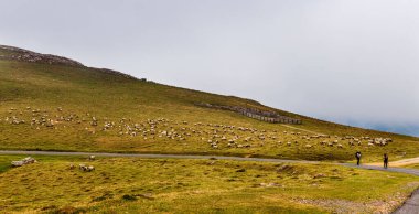 Saint-Jean-Pied-de-Port, France - July 28, 2022: Pilgrim from behind along the Camino de Santiago. Path of the way of St James in the French Pyrenees