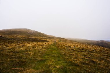 Pilgrims from behind along the Camino de Santiago. Path of the way of St James in the French Pyrenees