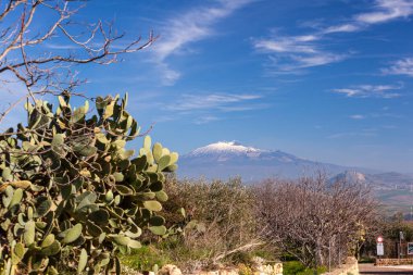 Morgantina 'daki Etna volkanı manzarası. Ön planda tipik Sicilya dikenli armut kaktüsü. Güneşli sabah
