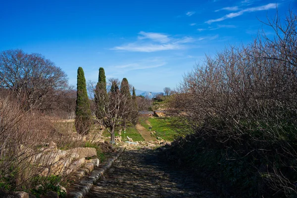 Camino Largo Del Sitio Arqueológico Sicilia Sitio Arqueológico Griego Morgantina — Foto de Stock