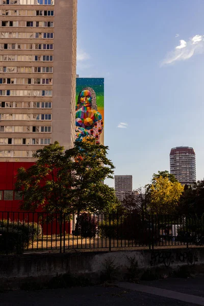 2022年7月13日 パリ13区の奥田サン ミゲルの 新モナ と題された巨大な壁画を見る — ストック写真