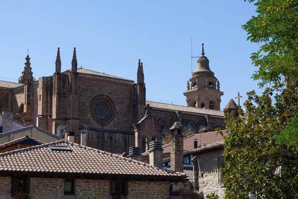 Вид Кафедральний Собор Святої Марії Памплони Іспанія — стокове фото