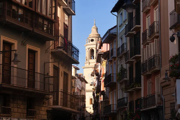 Veduta Della Cattedrale Pamplona Vista Curia Spagna — Foto Stock