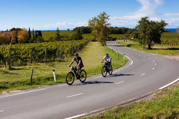 Punta Grossa Szlovénia 2022 Szeptember Kerékpárosok Bicikliznek Szőlőültetvények Mellett — Stock Fotó