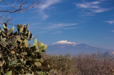 Morgantina 'daki Etna volkanı manzarası. Ön planda tipik Sicilya dikenli armut kaktüsü. Güneşli sabah