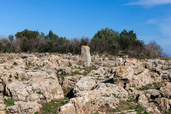 Panoramautsikt Över Den Antika Grekiska Staden Morgantina Berömda Ruiner Sicilien — Stockfoto