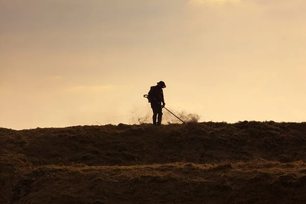 Çim Biçen Bir Adamın Silueti Günbatımının Işığında Çim Biçen Işçiler — Stok fotoğraf