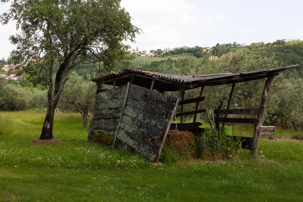 Slovenya Çiftliğindeki Eski Ahşap Kulübe — Stok fotoğraf