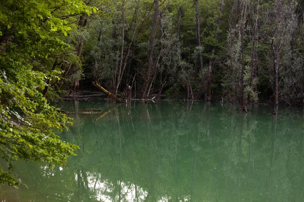 Вид Водосховище Ванганель Словенія — стокове фото