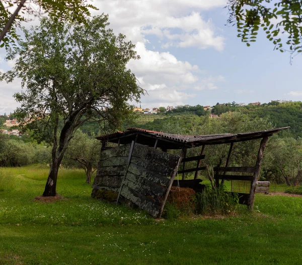 Stará Dřevěná Chatrč Slovinské Farmě — Stock fotografie