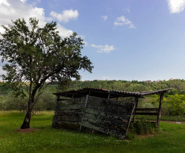 Old Wooden Shack Granja Eslovena — Foto de Stock