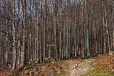 Ventasso, İtalya 'daki Toskana Emilian Apennines manzarası