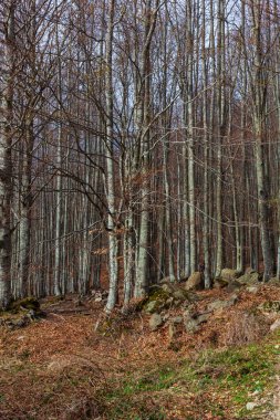 Ventasso, İtalya 'daki Toskana Emilian Apennines manzarası