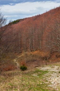 Ventasso, İtalya 'daki Toskana Emilian Apennines manzarası