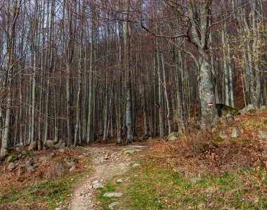 Ventasso, İtalya 'daki Toskana Emilian Apennines manzarası