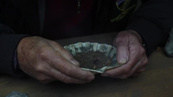 Εμπειρία Αρχαία Σχεδία Ειδικευμένα Χέρια Μείγμα Σκόνη Μύκητα Ένα Κέλυφος — Αρχείο Βίντεο