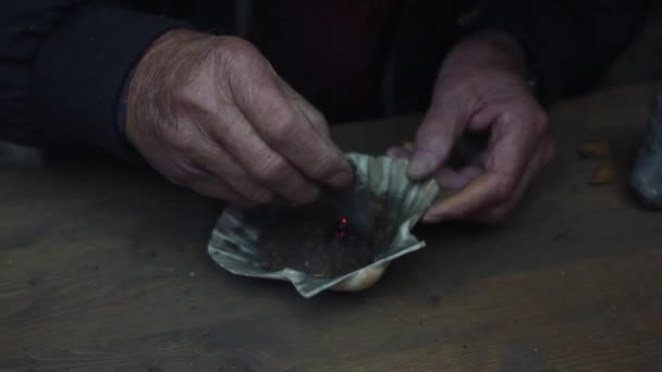 Experimente Fogo Artifício Antigo Mãos Hábeis Misturam Fungo Uma Concha — Vídeo de Stock