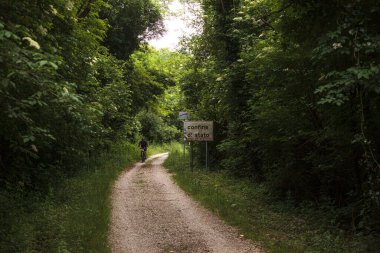 Lipica, Slovenya - 25 Mayıs 2024: İtalya ile Slovenya arasındaki eyalet sınırında yaz dağlarında bisiklet süren bisikletli adam