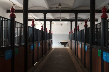 Lipica 'nın tarihi ahırlarının iç manzarası, ünlü Lipizzan atlarının evi.