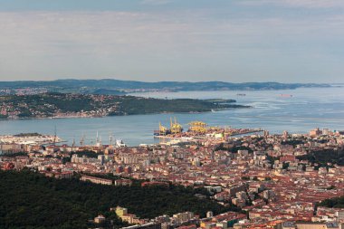 Trieste şehrinin hava görüntüsü ve liman gemileri, limana demirlemiş büyük yolcu feribotları.