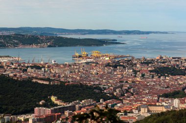 Trieste şehrinin hava görüntüsü ve liman gemileri, limana demirlemiş büyük yolcu feribotları.