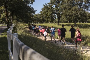 Group of runners in the wood of Lipica. Young and elder people together running in nature. Trail running workout. clipart