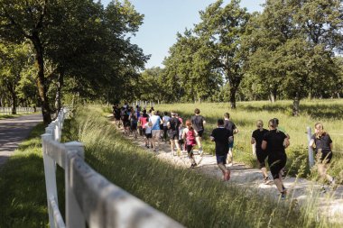 Lipica ormanında bir grup koşucu. Genç ve yaşlı insanlar birlikte doğada koşuyorlar. İz çalıştırma çalışması.