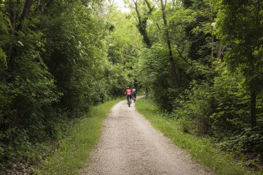 Slovenya 'da bisiklet süren arkadaşlar. Kask takıyorlar ve bitkilerle dolu bir patika boyunca bisiklet sürüyorlar. Arkadan bak, dağ bisikletleri üzerinde tanınmayan bisikletçileri göster