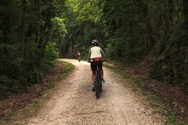 Slovenya 'da bisiklet süren arkadaşlar. Kask takıyorlar ve bitkilerle dolu bir patika boyunca bisiklet sürüyorlar. Arkadan bak, dağ bisikletleri üzerinde tanınmayan bisikletçileri göster