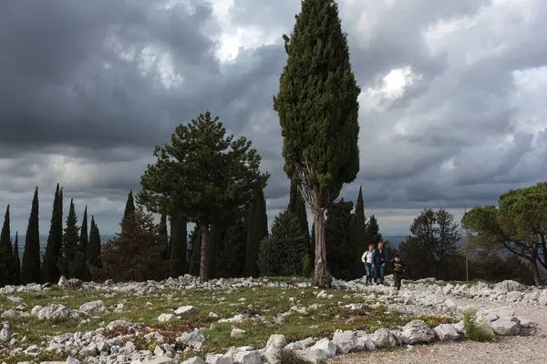 stock image Monte San Michele, Italy - November 01, 2023: Cypresses in the Monte San Michele the monumental area turned into an open-air museum of the World War I located near Cima Tre, Italy