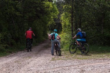 Koper, Slovenya - 28 Nisan 2024: Slovenya bahar ormanlarında MTB 'de dağ bisikletçiliği yapan arkadaşlara dik bakış
