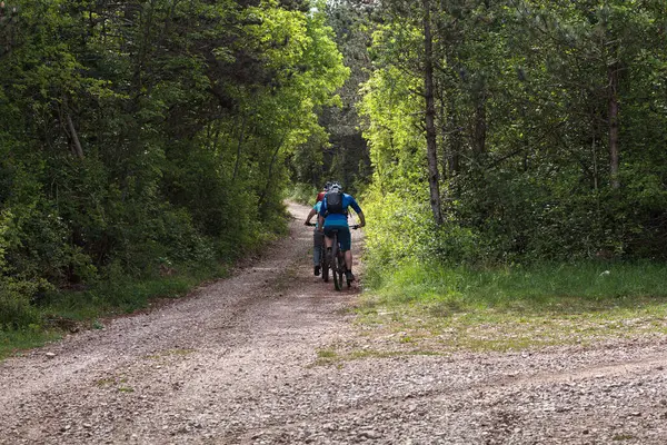 Slovenya 'nın bahar ormanlarında MTB' de bisikletle gezen arkadaşlarının arka manzarası
