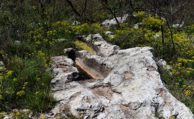 Slovenya 'nın en karst kaya oluşumlarında ahşap çıkıntısı Brestova, Slovenya