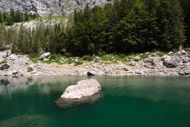 Kara Göl, güneşli bir öğleden sonra. Dağ gölü çam ağaçlarıyla çevrili. Slovenya 'nın Triglav Lakes Vadisi' ndeki Crno Jezero Gölü