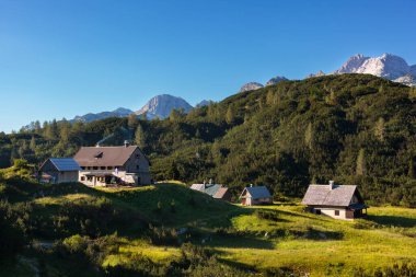 Slovenya 'daki Bogatin Dağı' nın altındaki bir dağ kulübesinin yaz manzarası.