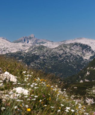 Slovenya 'nın Julian Alps kentindeki Triglav Ulusal Parkı' ndaki Krn sıradağlarının manzarası