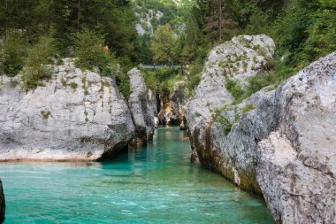 Lepena, Slovenya - 17 Temmuz 2024: Slovenya Velika korita 'daki Soca Gorge, Soca Nehri. Lepena Vadisi, Julian Alps, Bovec Belediyesi, Slovenya, Avrupa
